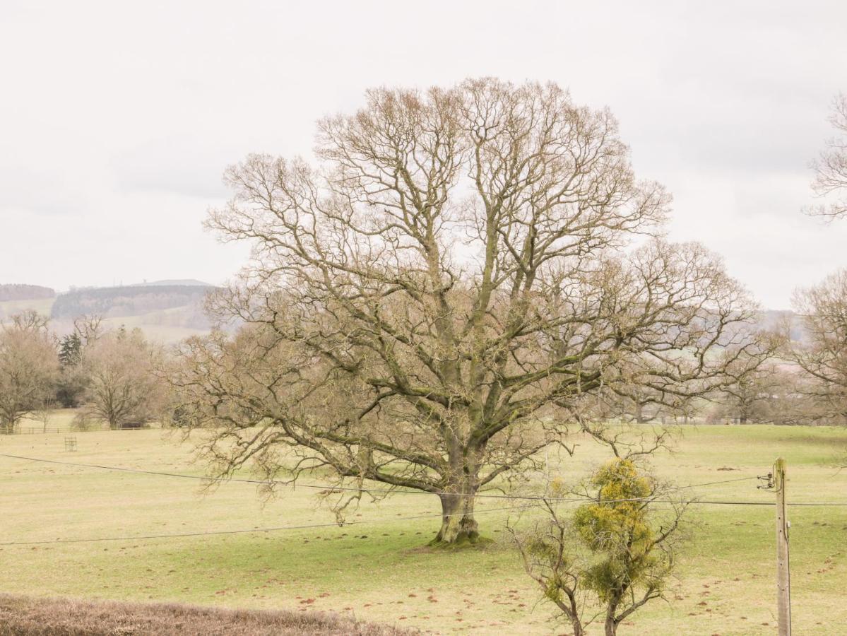 Oakland Cottage Craven Arms Bagian luar foto